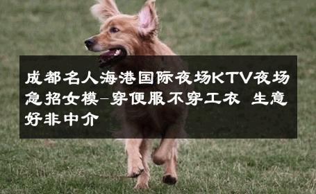 成都名人海港国际夜场KTV夜场急招女模-穿便服不穿工衣 生意好非中介