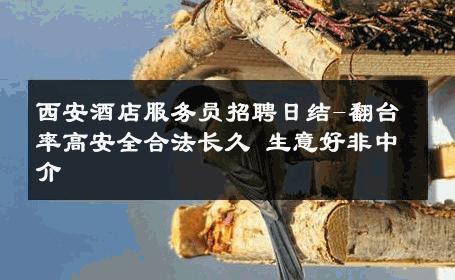 西安酒店服务员招聘日结-翻台率高安全合法长久 生意好非中介