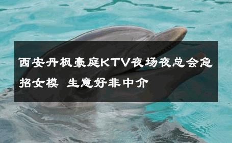 西安丹枫豪庭KTV夜场夜总会急招女模 生意好非中介