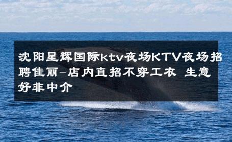 沈阳星辉国际ktv夜场KTV夜场招聘佳丽-店内直招不穿工衣 生意好非中介
