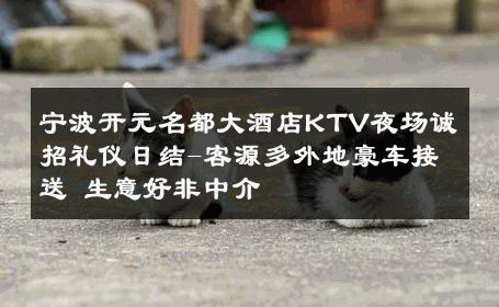 宁波开元名都大酒店KTV夜场诚招礼仪日结-客源多外地豪车接送 生意好非中介