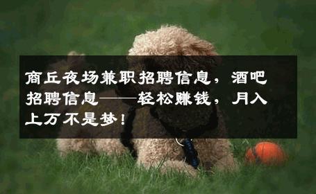 商丘夜场兼职招聘信息，酒吧招聘信息——轻松赚钱，月入上万不是梦！