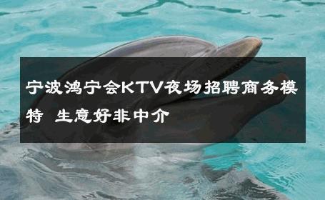 宁波鸿宁会KTV夜场招聘商务模特 生意好非中介