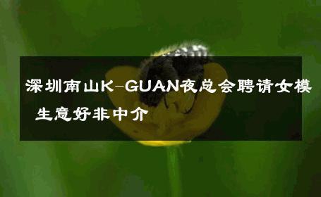 深圳南山K-GUAN夜总会聘请女模 生意好非中介