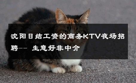 沈阳日结工资的商务KTV夜场招聘-- 生意好非中介