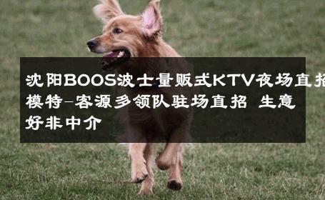 沈阳BOOS波士量贩式KTV夜场直招模特-客源多领队驻场直招 生意好非中介