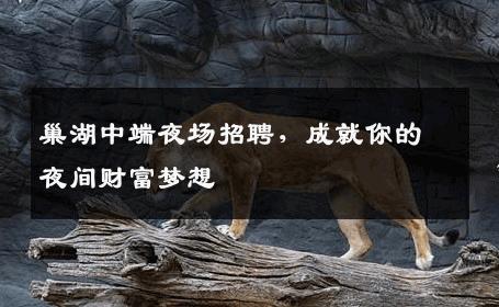 巢湖中端夜场招聘，成就你的夜间财富梦想
