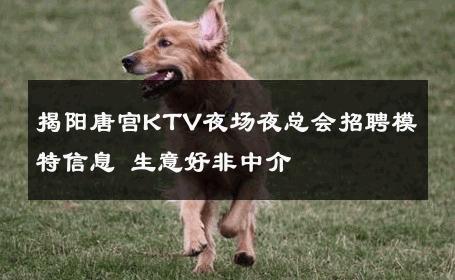 揭阳唐宫KTV夜场夜总会招聘模特信息 生意好非中介