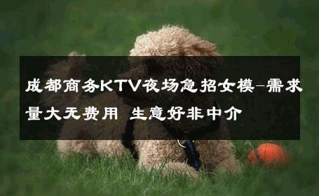 成都商务KTV夜场急招女模-需求量大无费用 生意好非中介