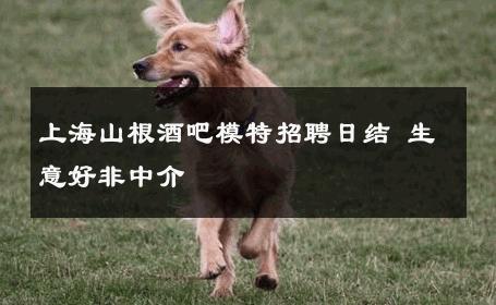 上海山根酒吧模特招聘日结 生意好非中介