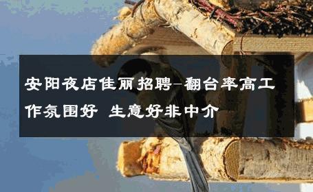 安阳夜店佳丽招聘-翻台率高工作氛围好 生意好非中介