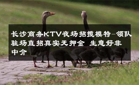 长沙商务KTV夜场招揽模特-领队驻场直招真实无押金 生意好非中介