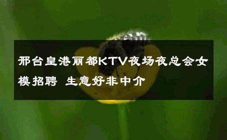 邢台皇港丽都KTV夜场夜总会女模招聘 生意好非中介