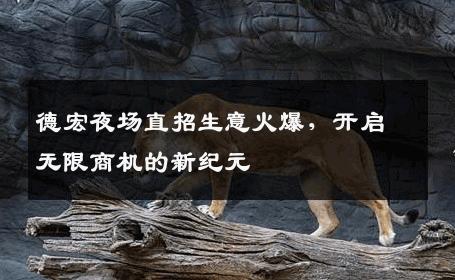 德宏夜场直招生意火爆，开启无限商机的新纪元