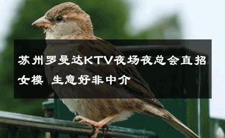 苏州罗曼达KTV夜场夜总会直招女模 生意好非中介