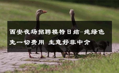 西安夜场招聘模特日结-纯绿色免一切费用 生意好非中介