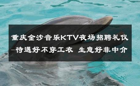 重庆金沙音乐KTV夜场招聘礼仪-待遇好不穿工衣 生意好非中介