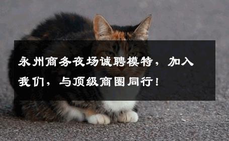 永州商务夜场诚聘模特，加入我们，与顶级商圈同行！