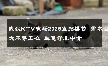 武汉KTV夜场2025直招模特-需求量大不穿工衣 生意好非中介