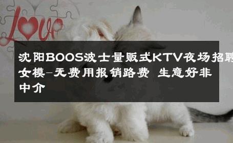 沈阳BOOS波士量贩式KTV夜场招聘女模-无费用报销路费 生意好非中介