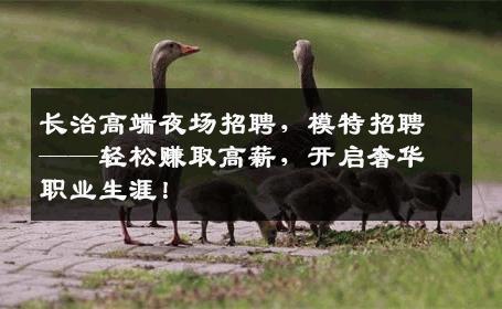 长治高端夜场招聘，模特招聘——轻松赚取高薪，开启奢华职业生涯！