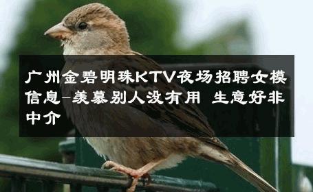 广州金碧明珠KTV夜场招聘女模信息-羡慕别人没有用 生意好非中介