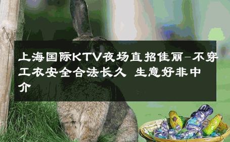 上海国际KTV夜场直招佳丽-不穿工衣安全合法长久 生意好非中介