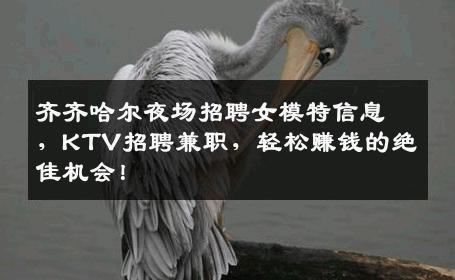 齐齐哈尔夜场招聘女模特信息，KTV招聘兼职，轻松赚钱的绝佳机会！