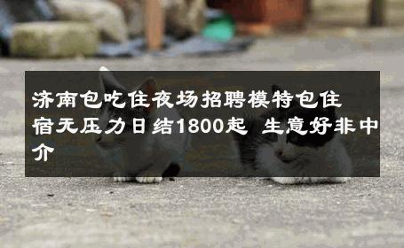 济南包吃住夜场招聘模特包住宿无压力日结1800起 生意好非中介