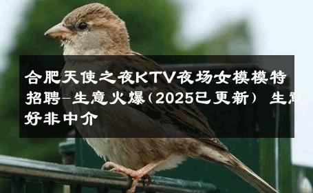 合肥天使之夜KTV夜场女模模特招聘-生意火爆(2025已更新) 生意好非中介