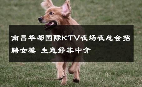 南昌华都国际KTV夜场夜总会招聘女模 生意好非中介