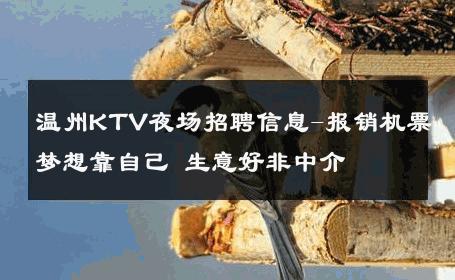 温州KTV夜场招聘信息-报销机票梦想靠自己 生意好非中介