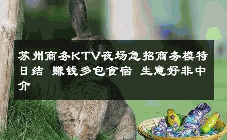 苏州商务KTV夜场急招商务模特日结-赚钱多包食宿 生意好非中介