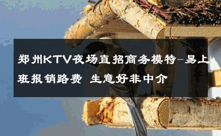 郑州KTV夜场直招商务模特-易上班报销路费 生意好非中介