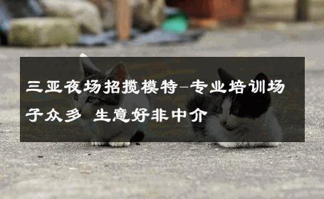 三亚夜场招揽模特-专业培训场子众多 生意好非中介