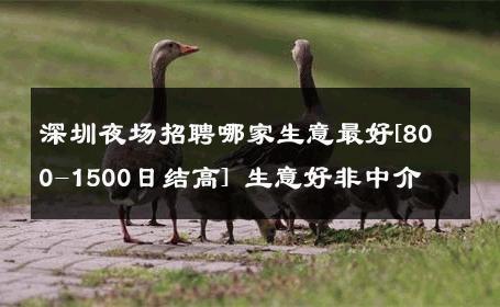 深圳夜场招聘哪家生意最好[800-1500日结高] 生意好非中介
