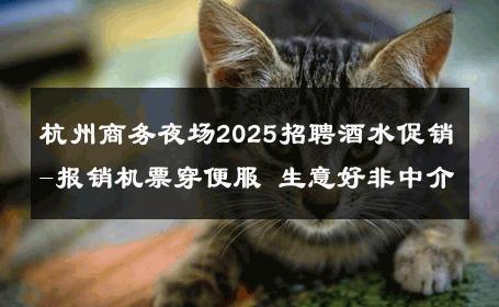 杭州商务夜场2025招聘酒水促销-报销机票穿便服 生意好非中介