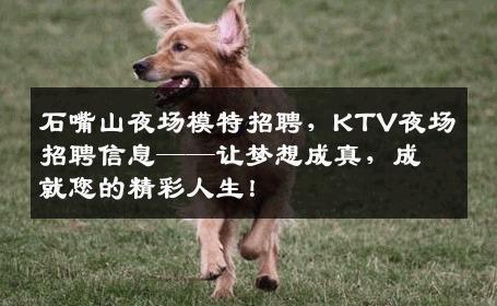 石嘴山夜场模特招聘，KTV夜场招聘信息——让梦想成真，成就您的精彩人生！