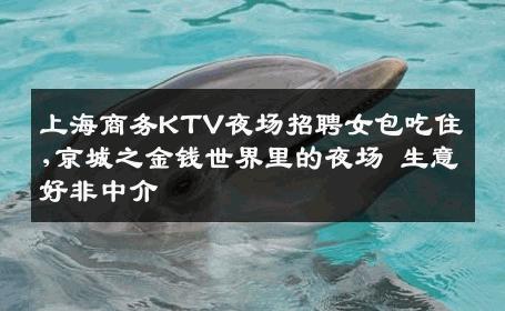 上海商务KTV夜场招聘女包吃住,京城之金钱世界里的夜场 生意好非中介
