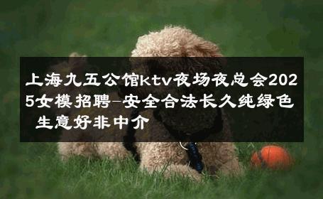 上海九五公馆ktv夜场夜总会2025女模招聘-安全合法长久纯绿色 生意好非中介