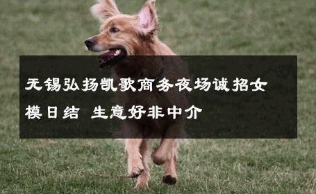 无锡弘扬凯歌商务夜场诚招女模日结 生意好非中介