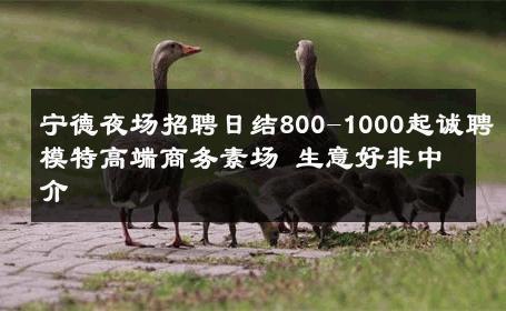宁德夜场招聘日结800-1000起诚聘模特高端商务素场 生意好非中介
