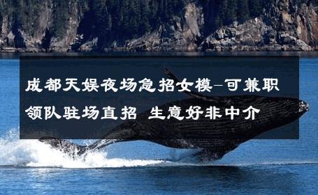 成都天娱夜场急招女模-可兼职领队驻场直招 生意好非中介