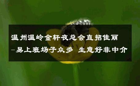 温州温岭金轩夜总会直招佳丽-易上班场子众多 生意好非中介