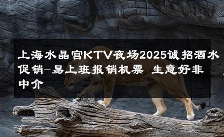 上海水晶宫KTV夜场2025诚招酒水促销-易上班报销机票 生意好非中介