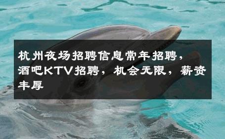 杭州夜场招聘信息常年招聘，酒吧KTV招聘，机会无限，薪资丰厚