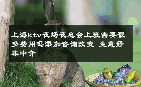 上海ktv夜场夜总会上班需要很多费用吗添加咨询改变 生意好非中介