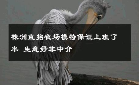 株洲直招夜场模特保证上班了率 生意好非中介