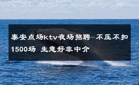 泰安点场ktv夜场招聘-不压不扣1500场 生意好非中介