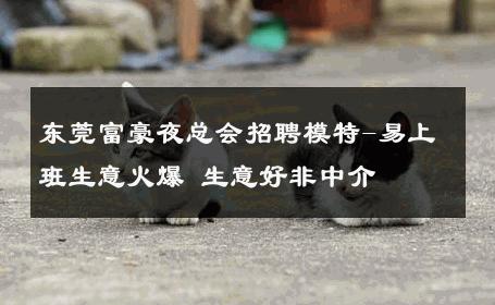 东莞富豪夜总会招聘模特-易上班生意火爆 生意好非中介